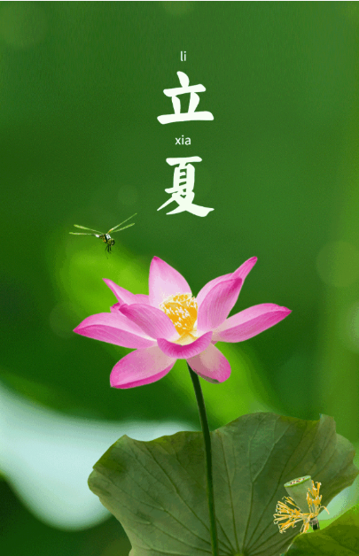 2023年5月6日新闻-立夏